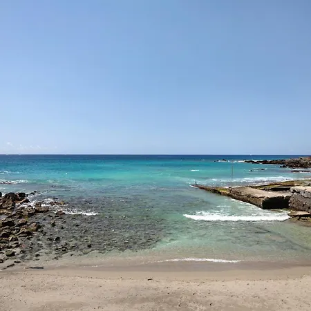El Drago Costa Del Silencio